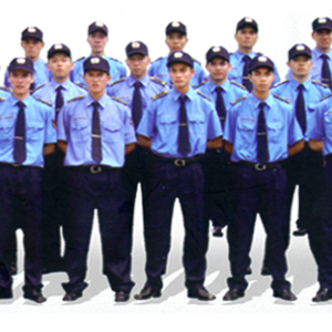 dich-vu-bao-ve-trung-kien-vung-tau-uy-tin-chuyen-nghiep-hieu-qua